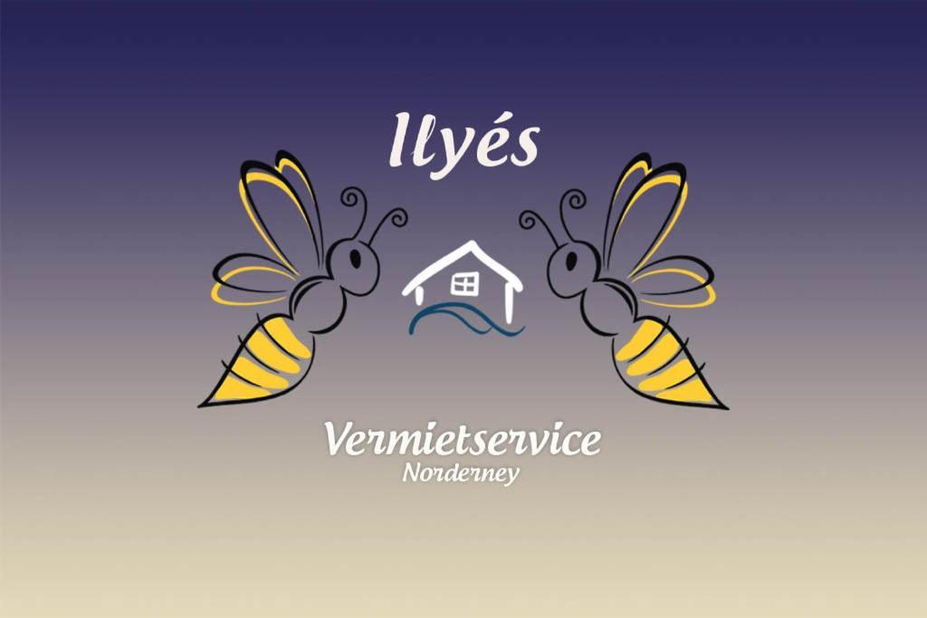 Haus Kleemann E24 Norderney Exterior foto